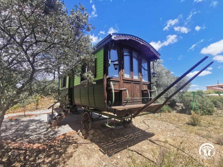 34G8982 1200 768x576