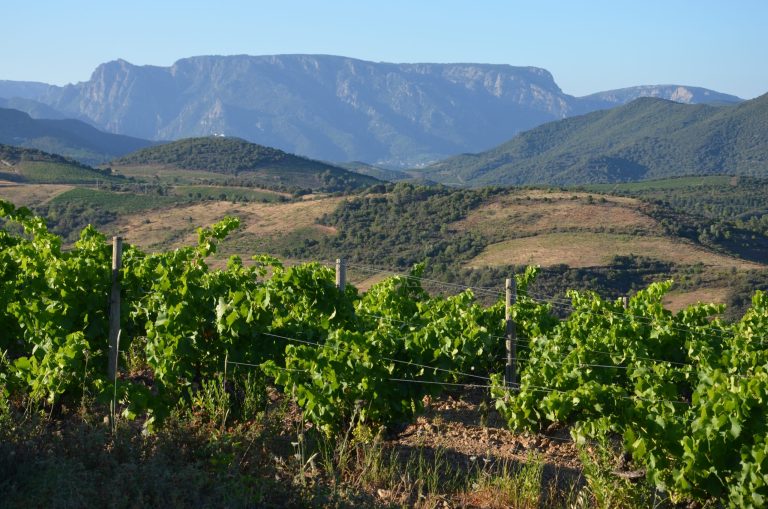 DSC 0094 9 scaled 768x509