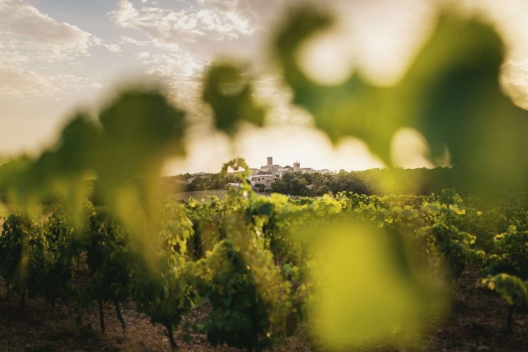 Domaine Marie de Lauzerda 1 2 768x512