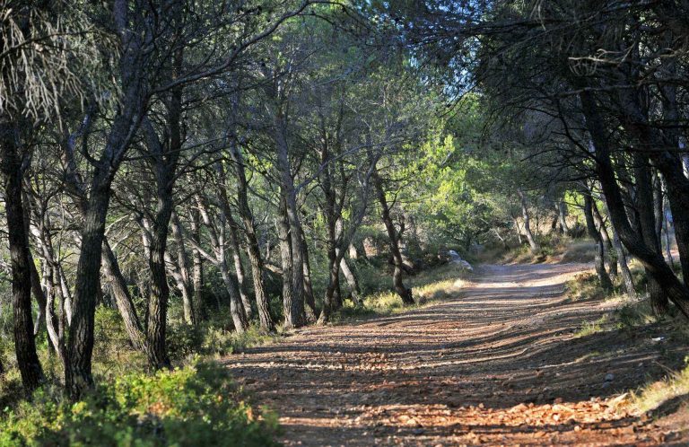 Puisserguier Pinede OTI Canal Du Midi 2 768x498