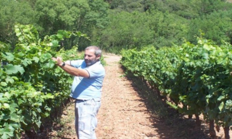 SY 2012 07 02 343 2 768x461