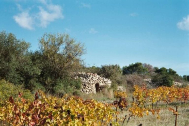 capitelle Bousquette 2 768x512