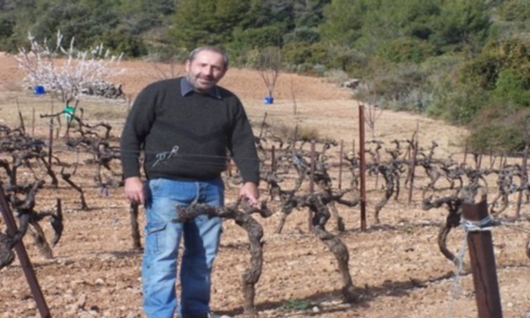 Taille 2012 002 2 768x461