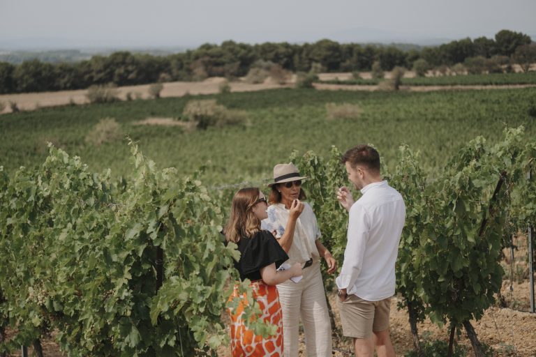 ambroggiani 185  768x512