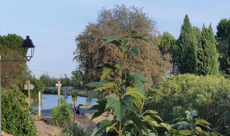 vue depuis terrasse 768x454